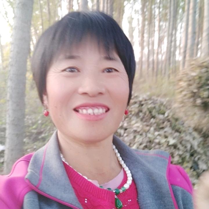 农村庞姐儿