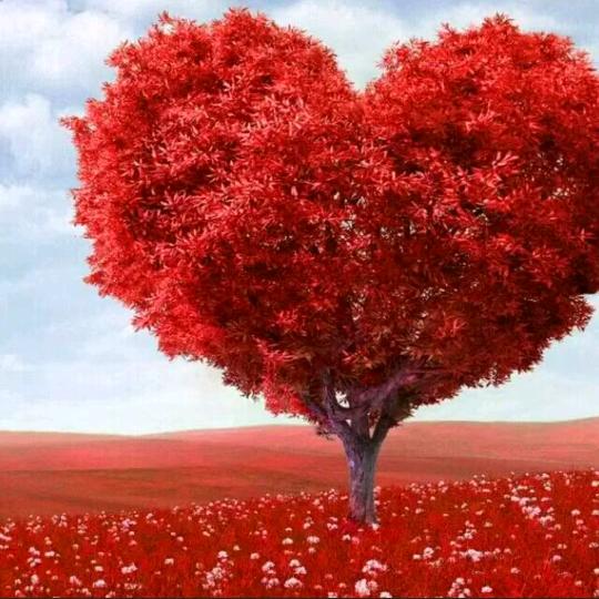 好运❤️自来