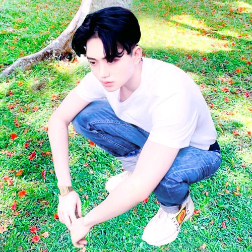 傻蛋[好物分享]