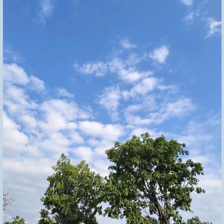 天空2404953387025