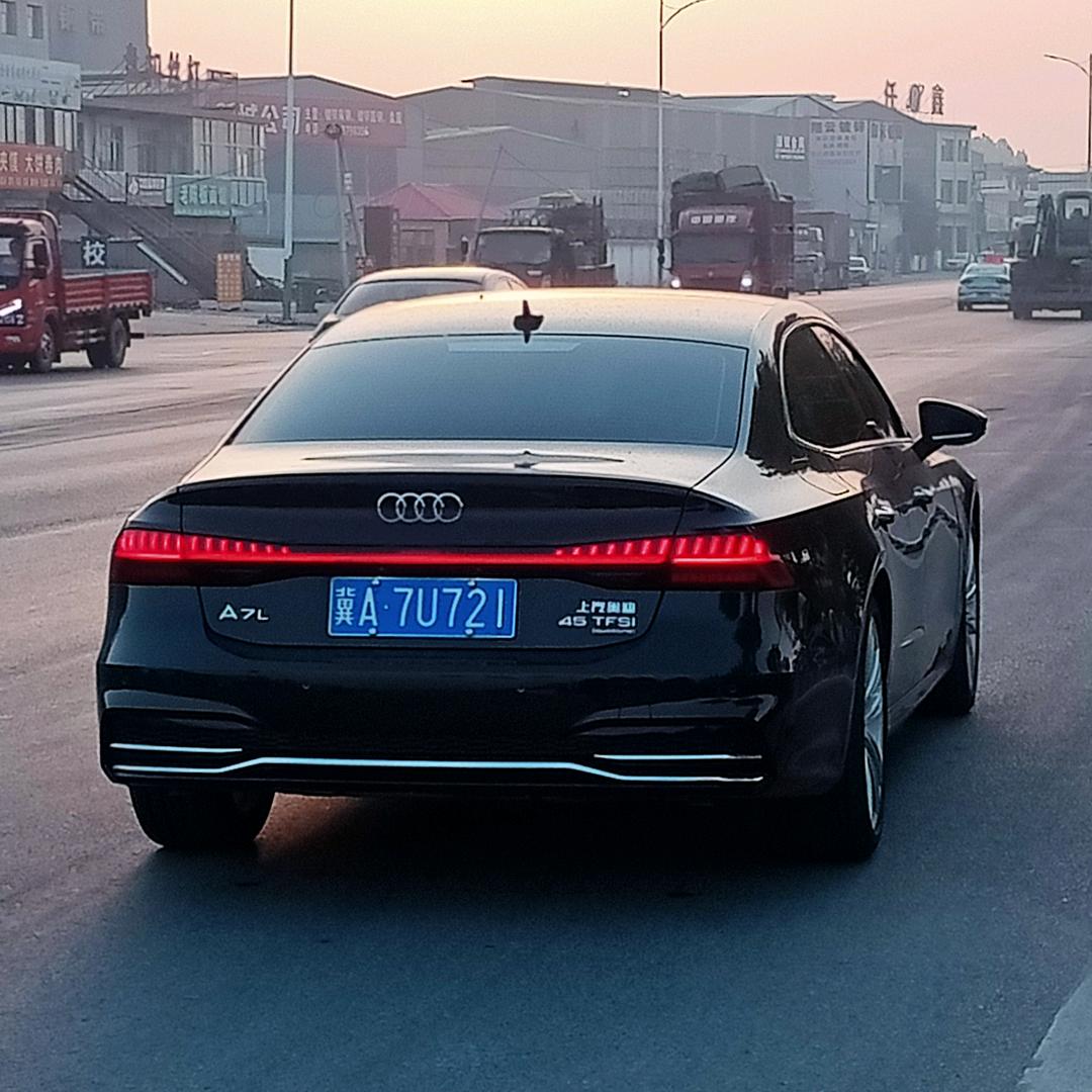 金钱豹_209356
