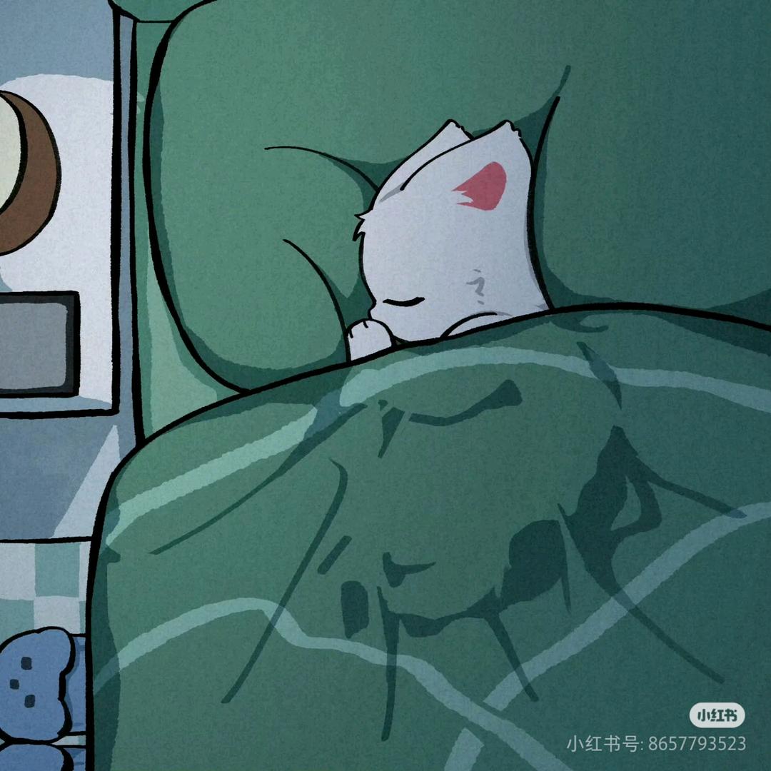 小树懒