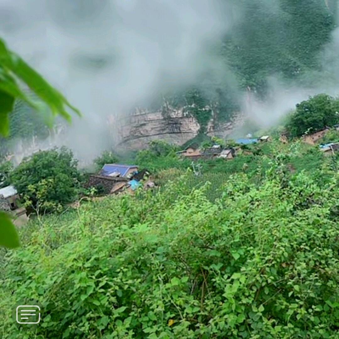 梦菲