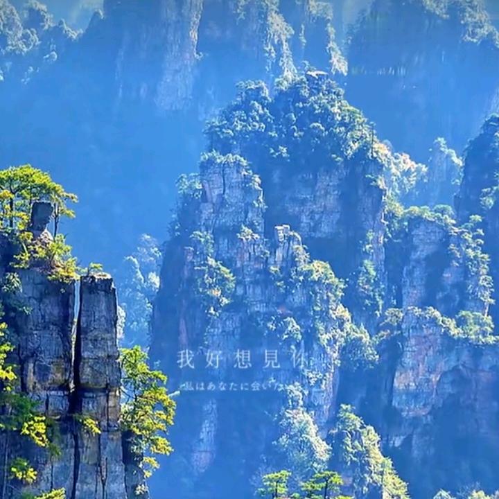 敬人者人恒敬之