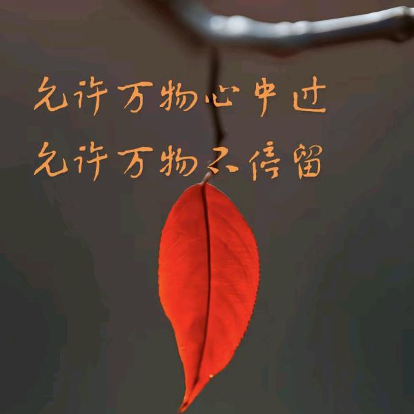 不言骑