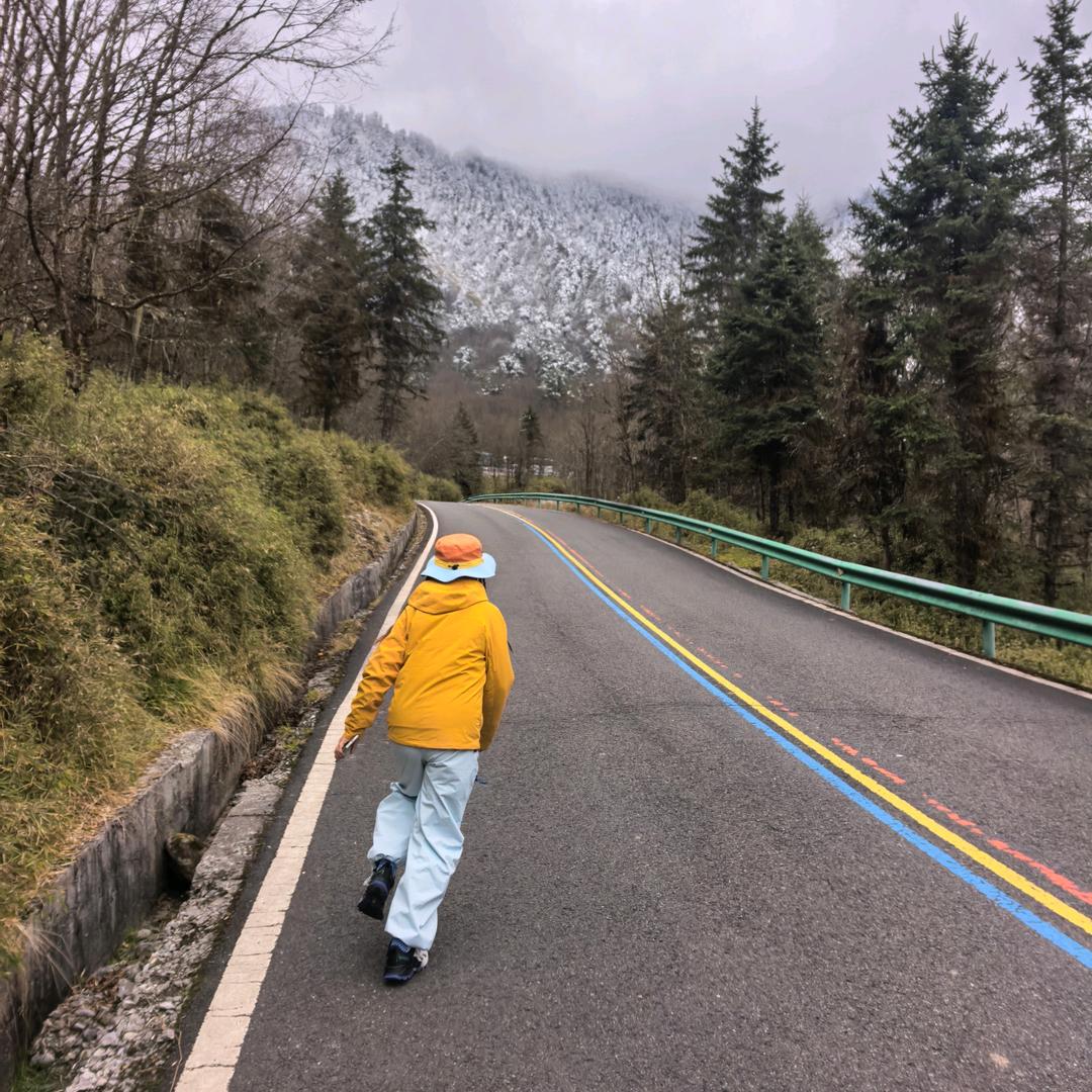 🍍    .可乐兑水