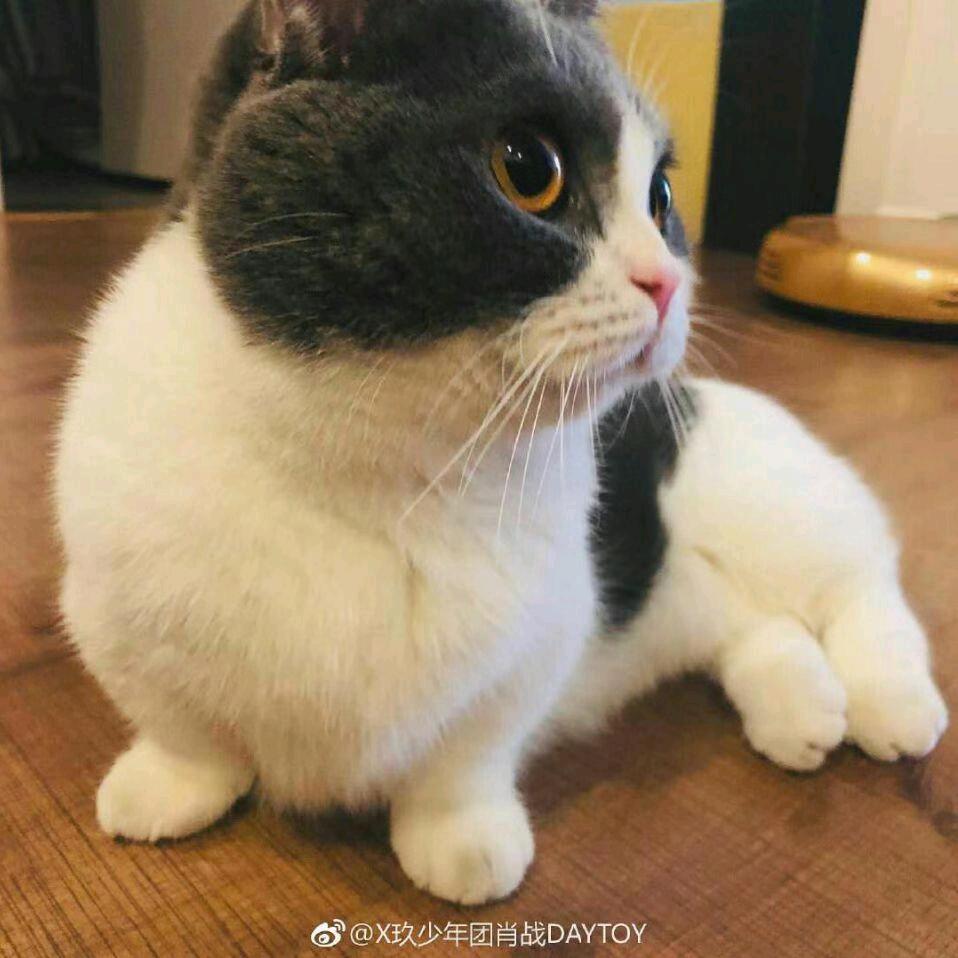 福敏宇宙.