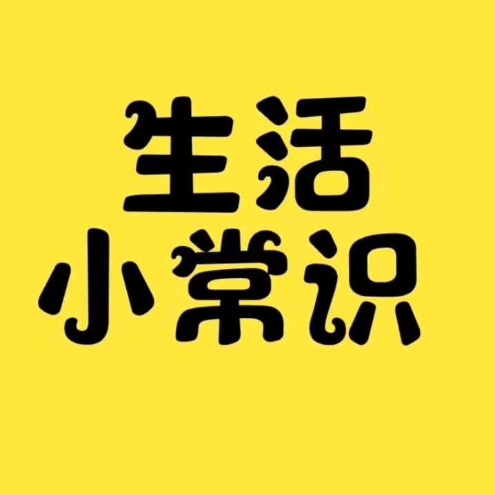美姐爱生活