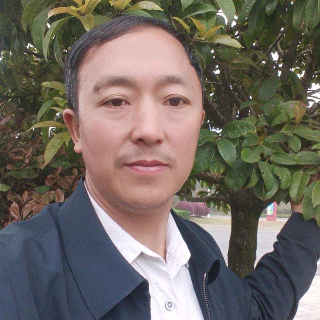 杨三哥收肥猪，母猪，公猪，伤残猪