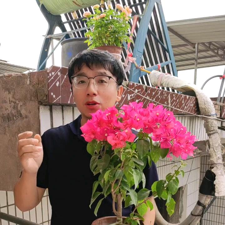 泽泽花卉园艺
