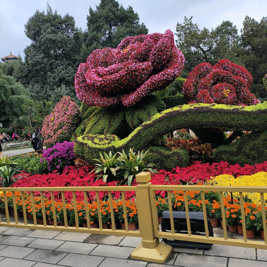 幸福安康❤️🍎♥️🗝🌹