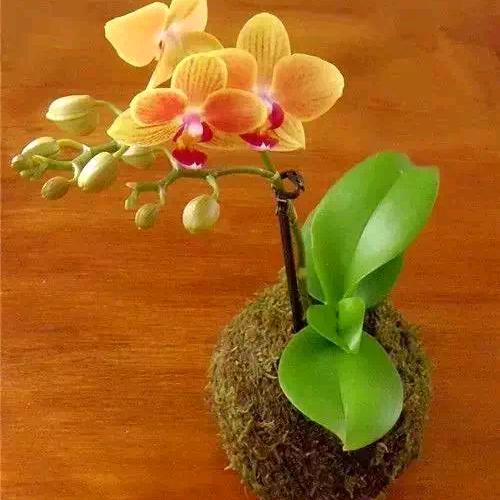 烟中有往事