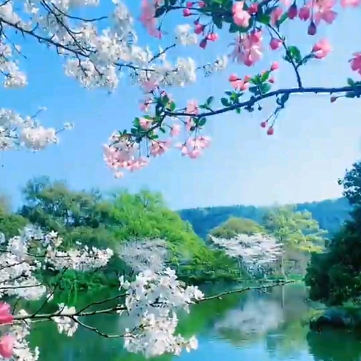 未来可期，无畏向前