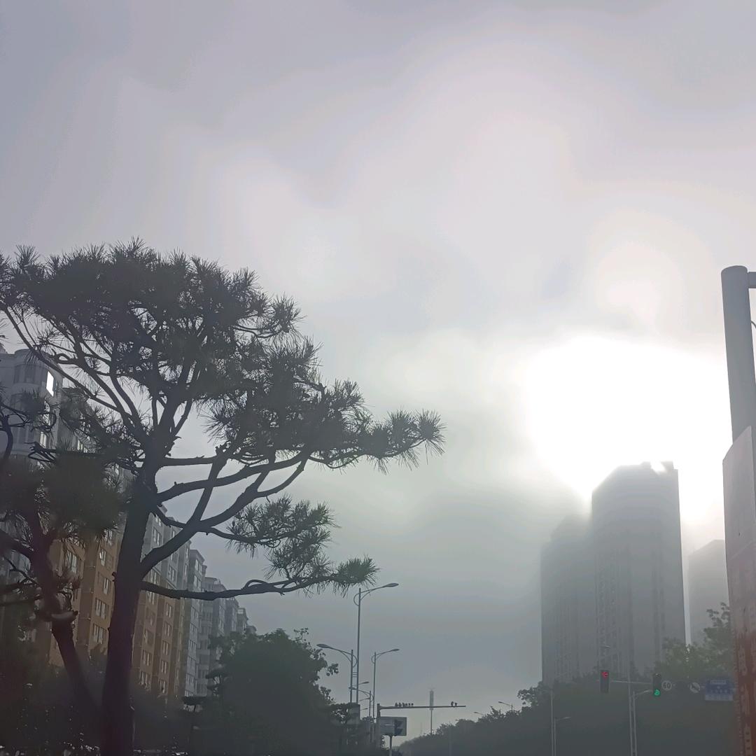 墨染＂