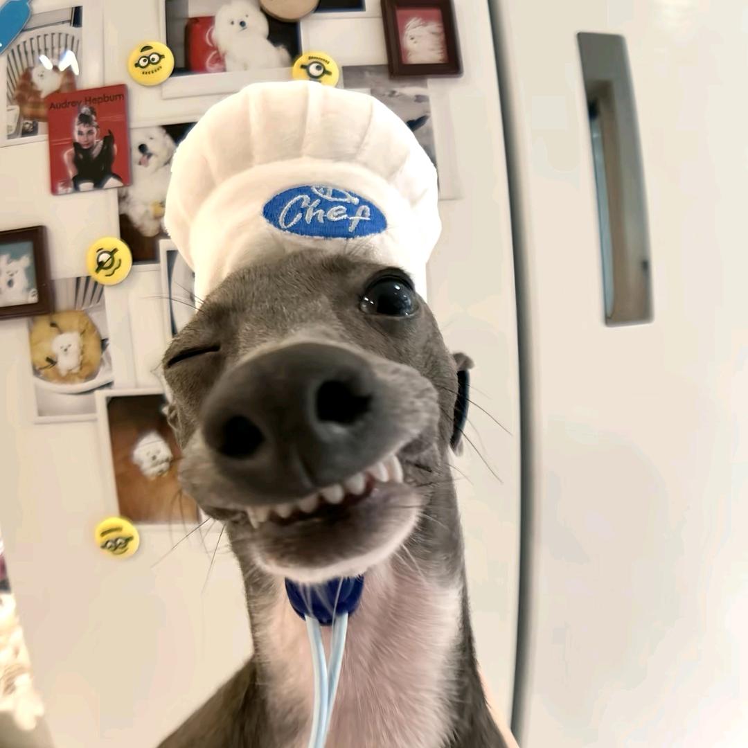 《$》