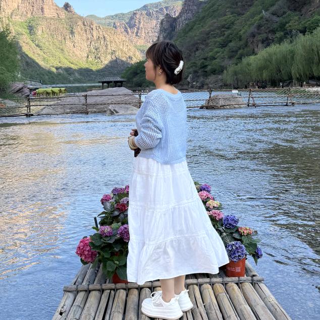 一只懒杨杨