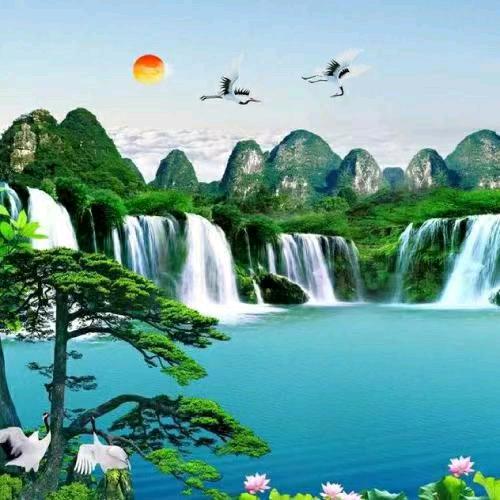 青阳先生