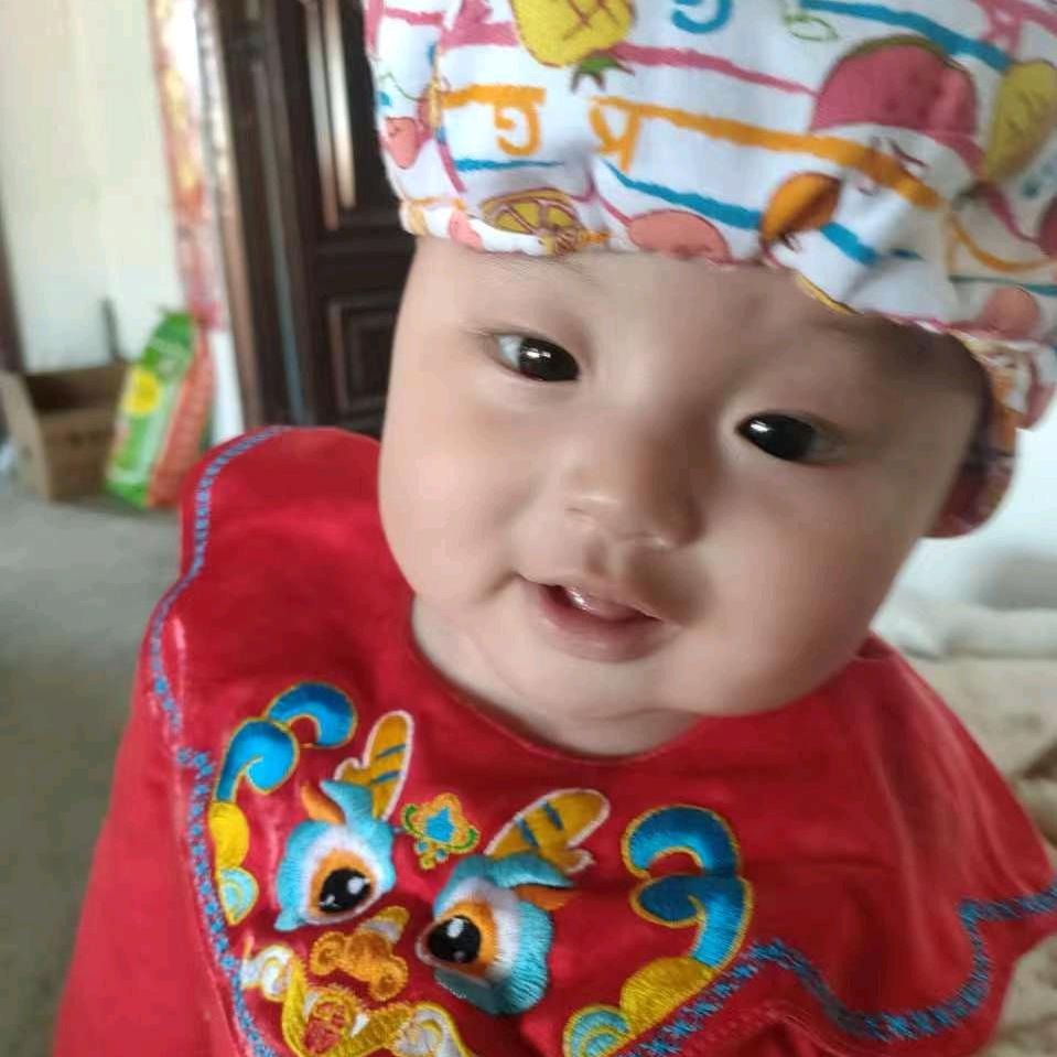 芦荟