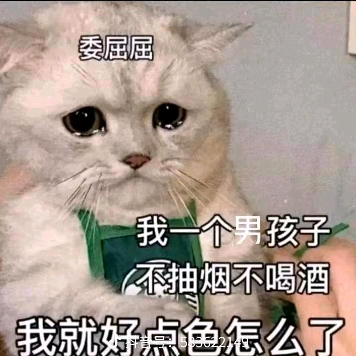 利凡诺