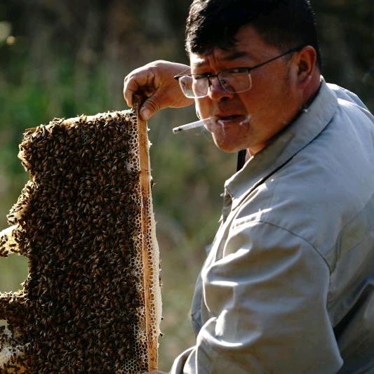 建业蜜蜂养殖场