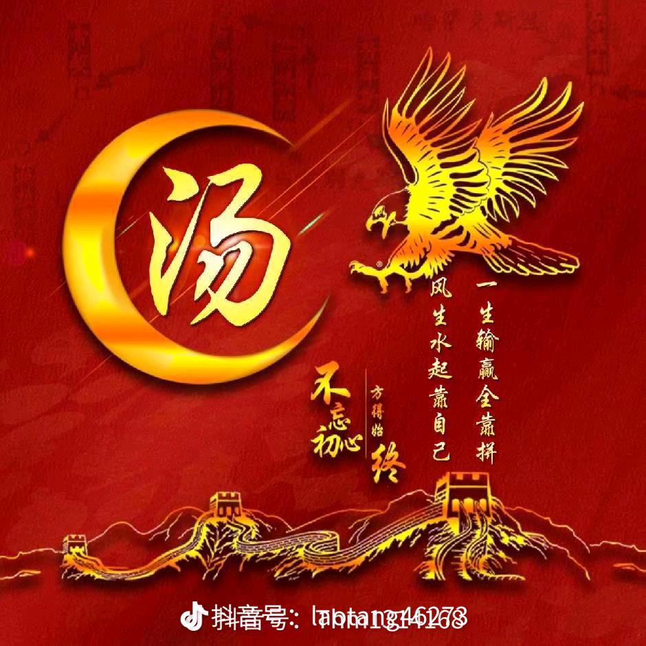 顺其自然汤哥