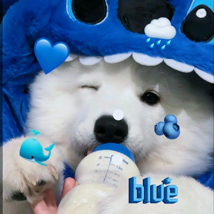 温馨生活小铺gEU