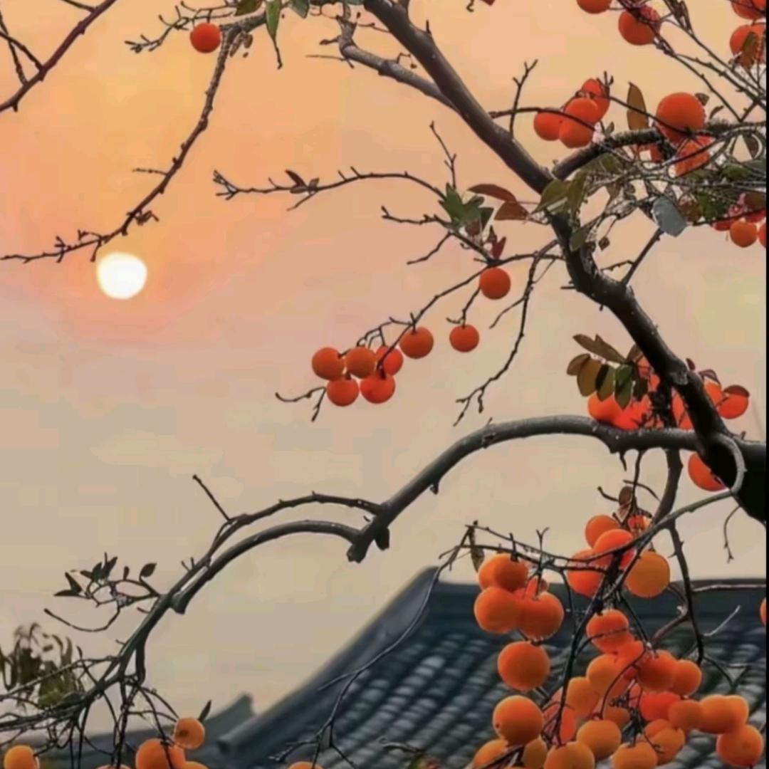 善缘堂～静缘