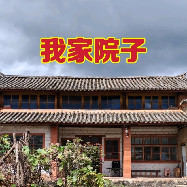 陪伴哥