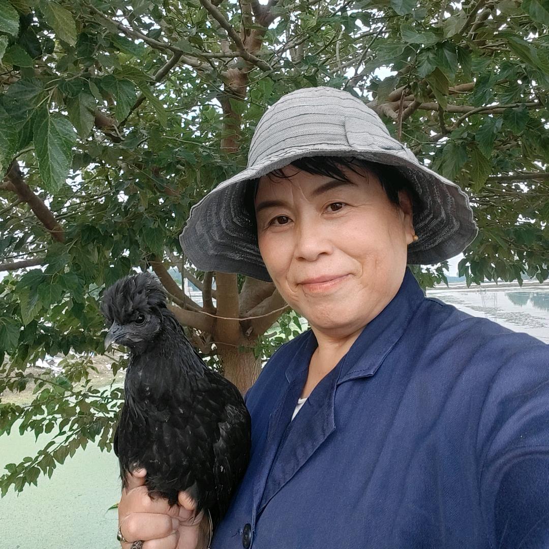 盐城60后养殖宝奶