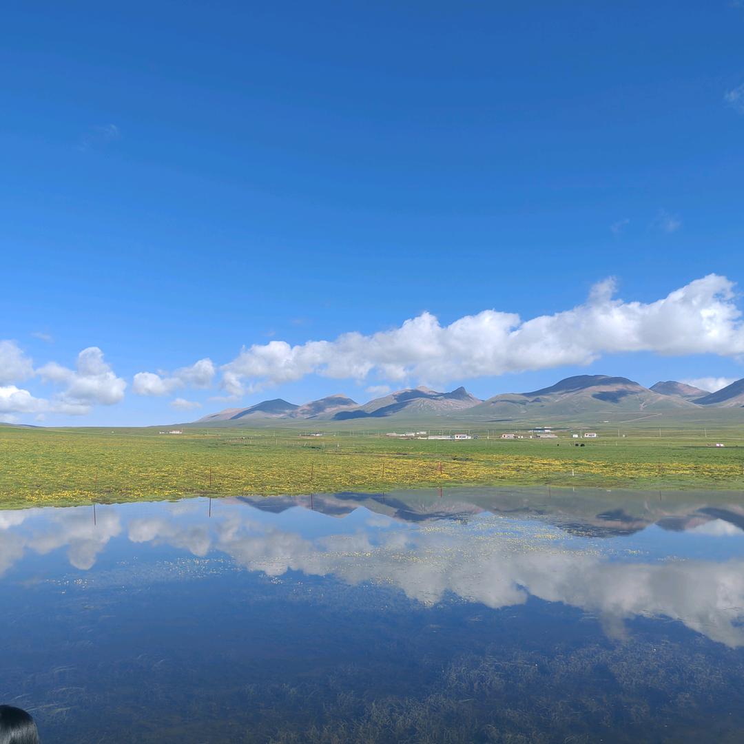 海青