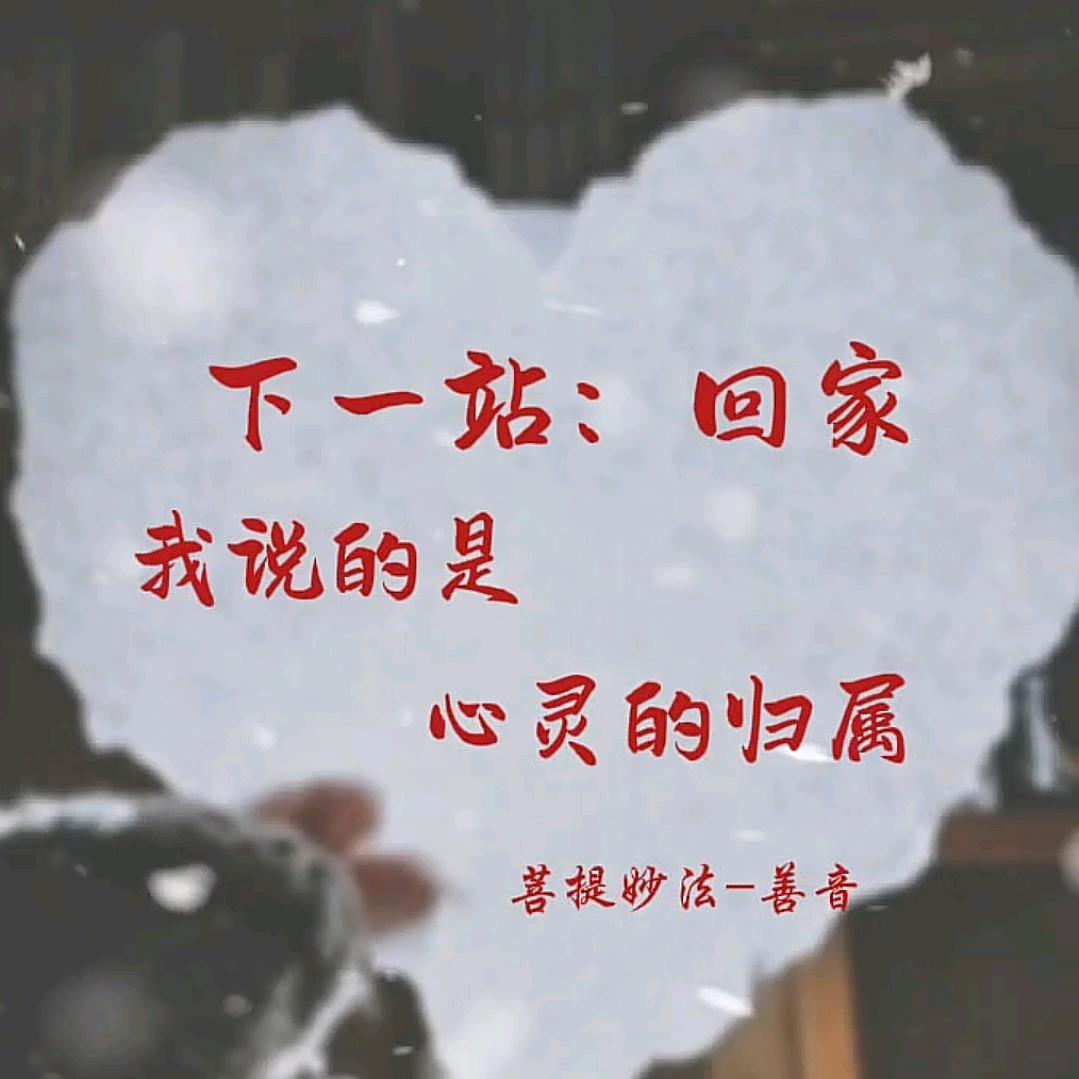 菩提妙法🐉三姑娘善音