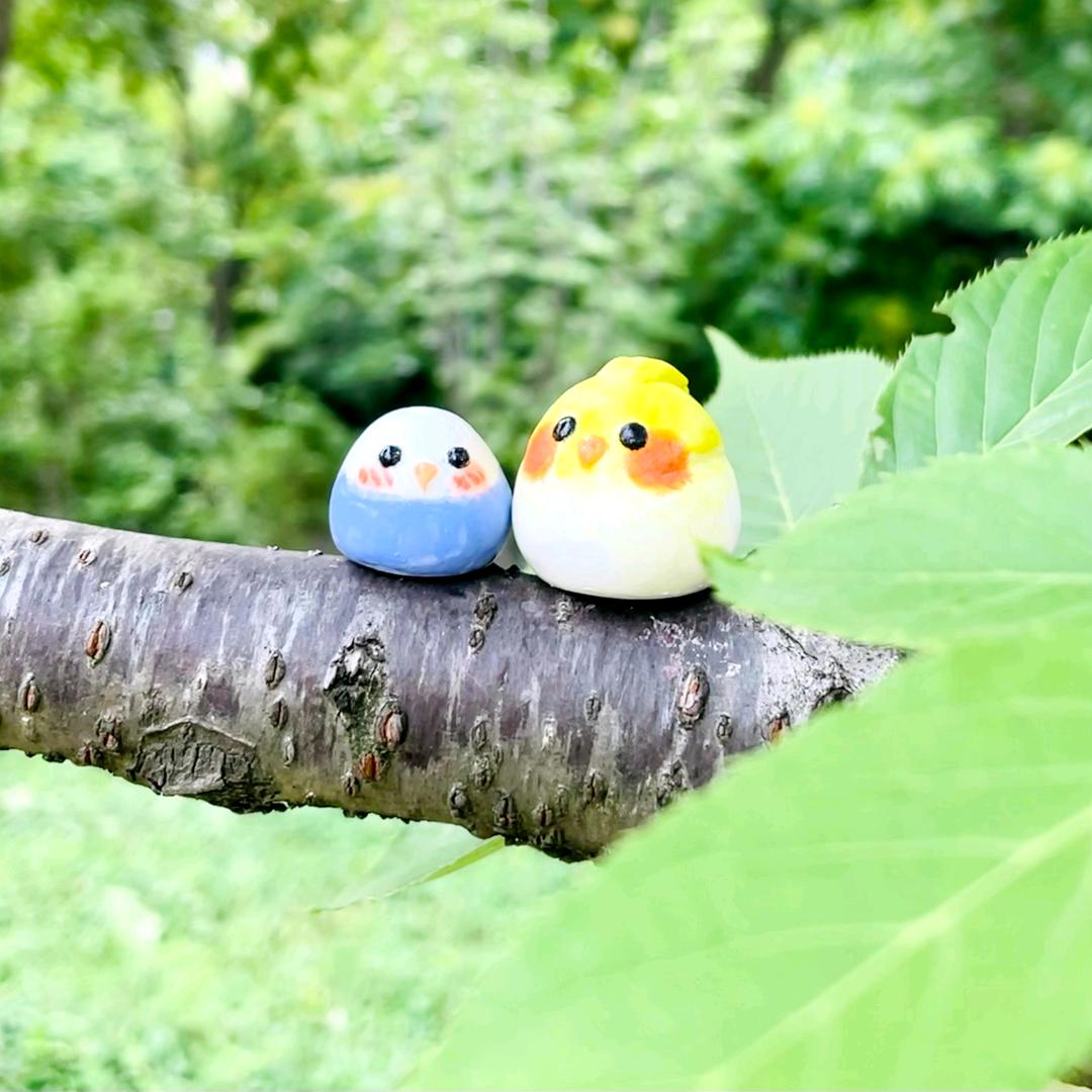 宋子楚