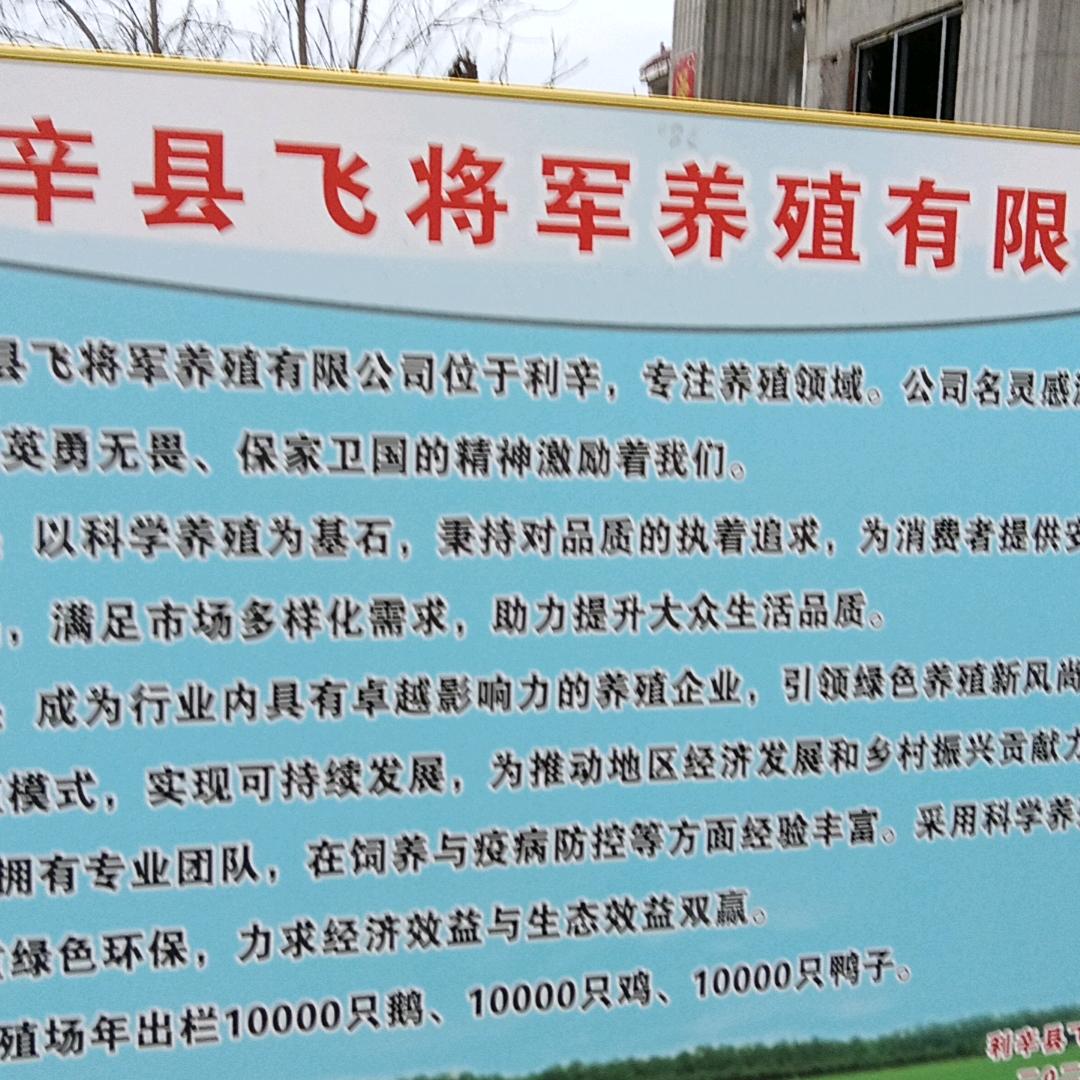 飞将军！