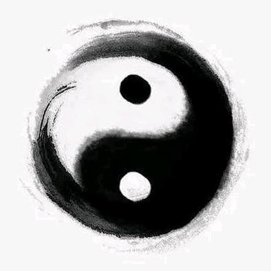 心意武道