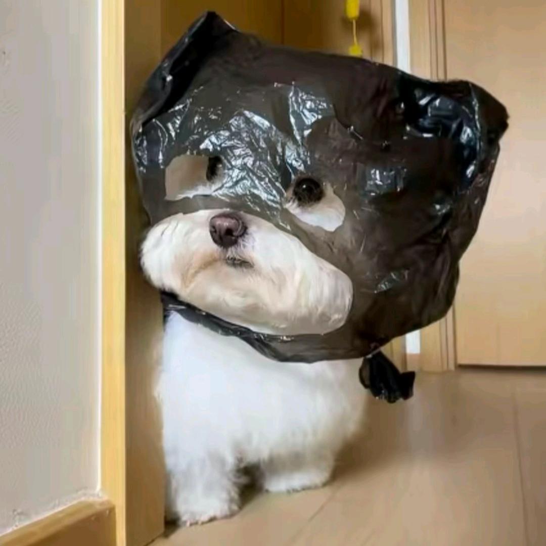 北凉王