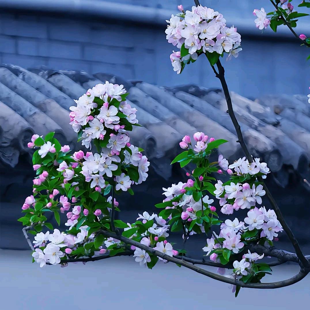 荣山集中科技