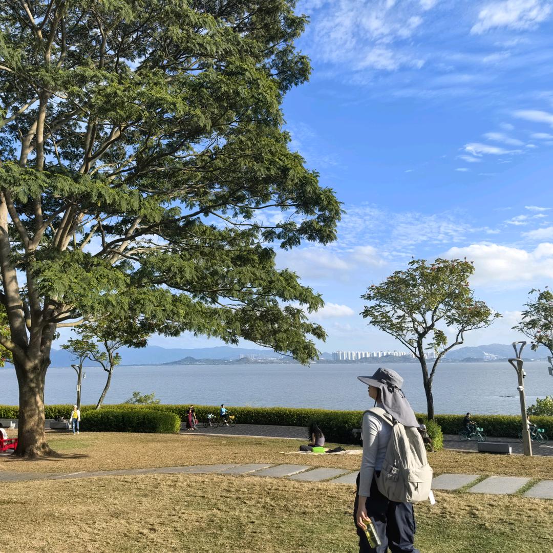 老八老八不是老三和老六