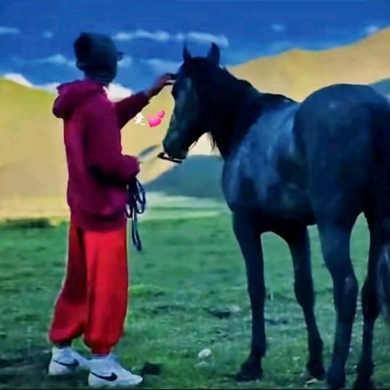 རྟ་ཐོག ࿈ ཕོ་རྒོད