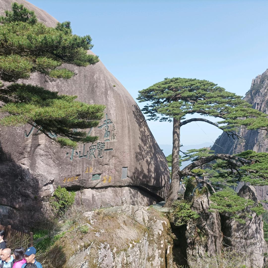 王振军