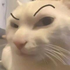 嚯嚯嚯