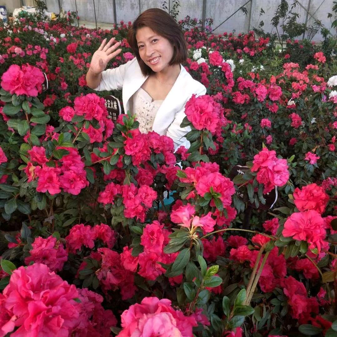 《ʅ💖快乐ღ 前行💕》