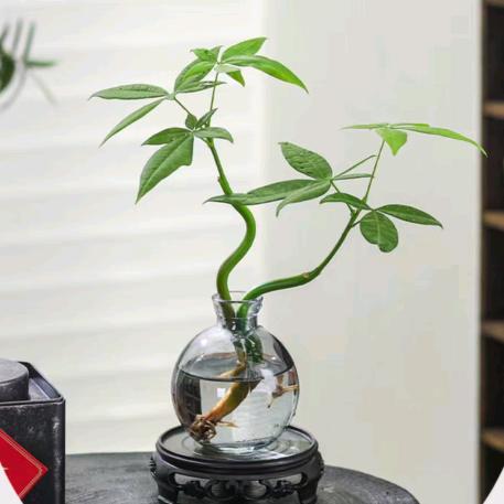 甄选工厂188直供