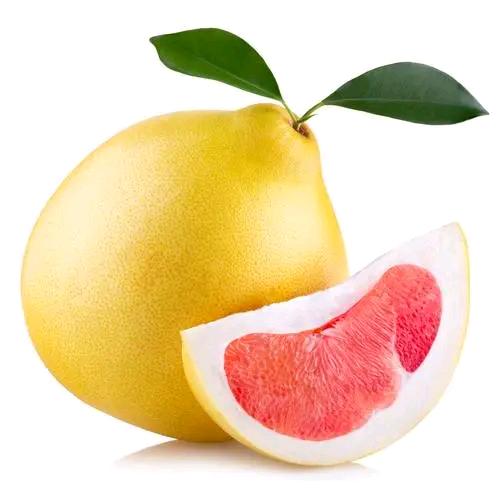 小柚子🍊