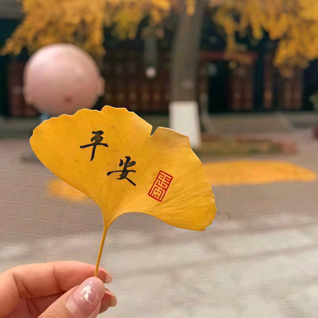 意ㅤㅤㅤㅤㅤㅤㅤㅤ