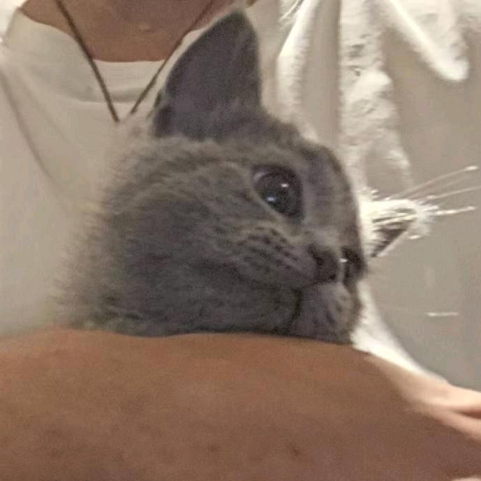 程橙子_英语