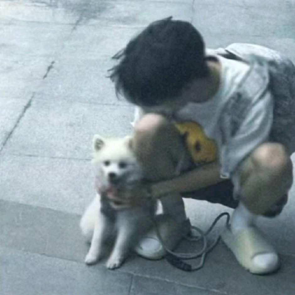 枫桥遇夜泊