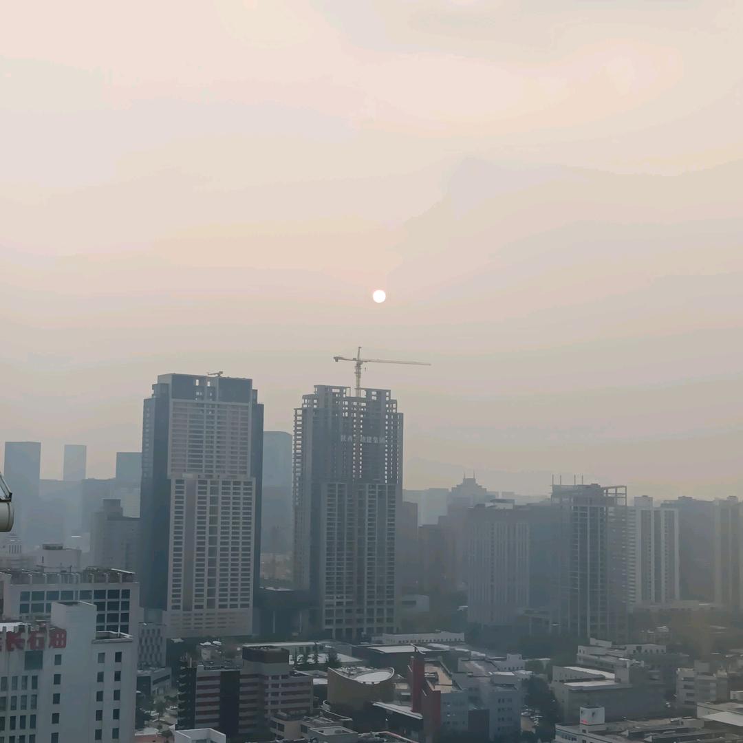 雪蘅