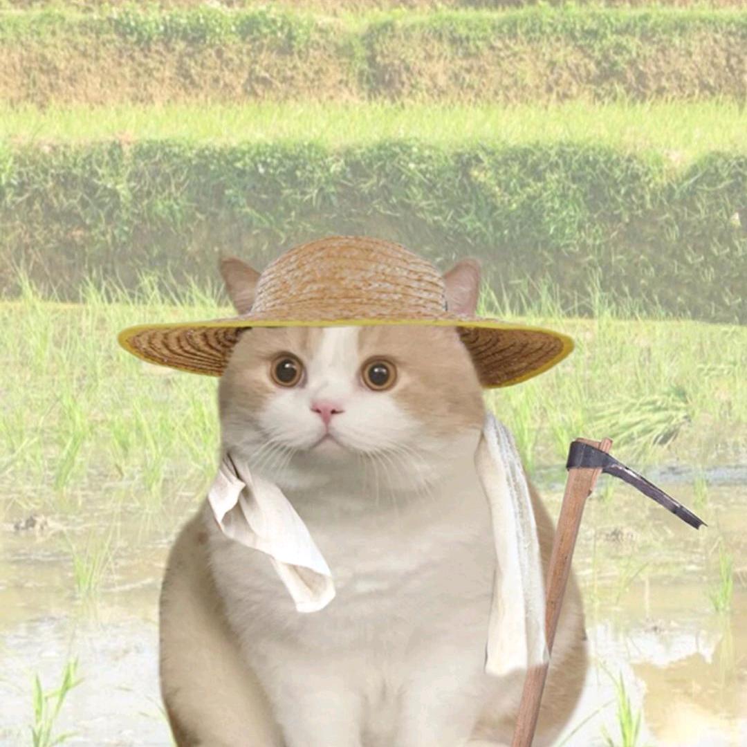 沈毓🌾