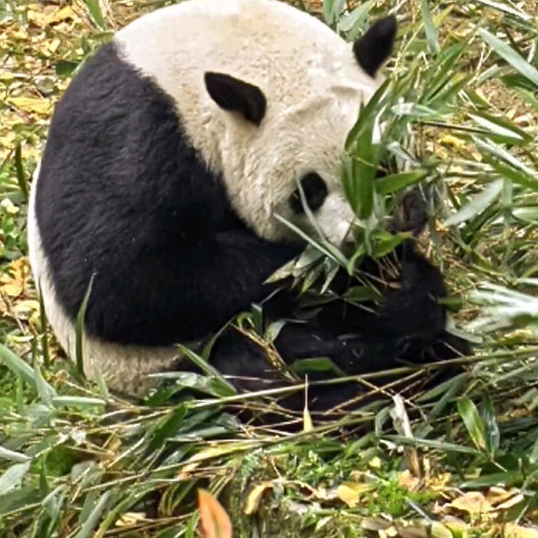 罗兴举