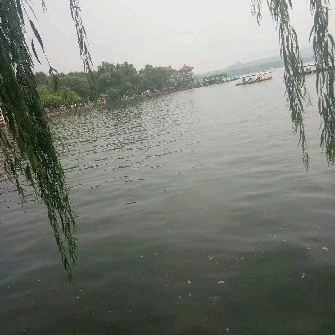 诗和远方@纯属娱乐《请勿连赞》
